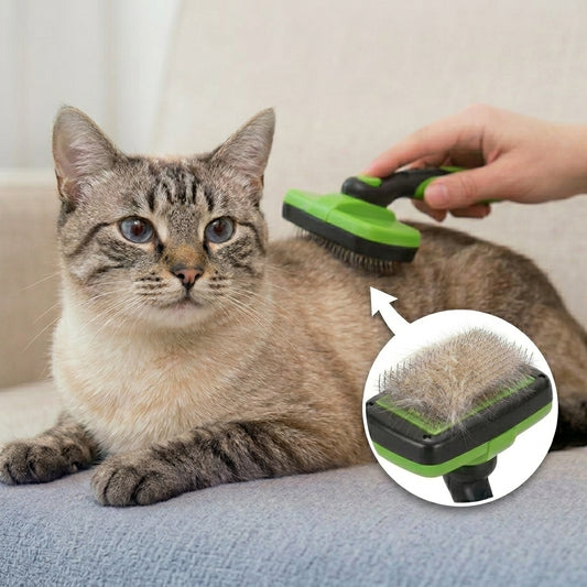 Douneshop 🐾 Brosse Autonettoyante Anti-Poils — Peigne de Toilettage pour Chien & Chat