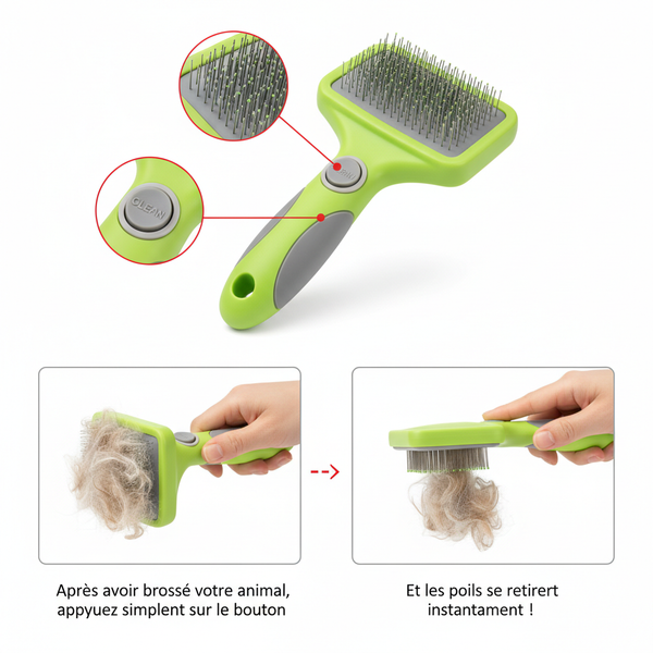 Brosse - Mode d'emploi FR corrigé