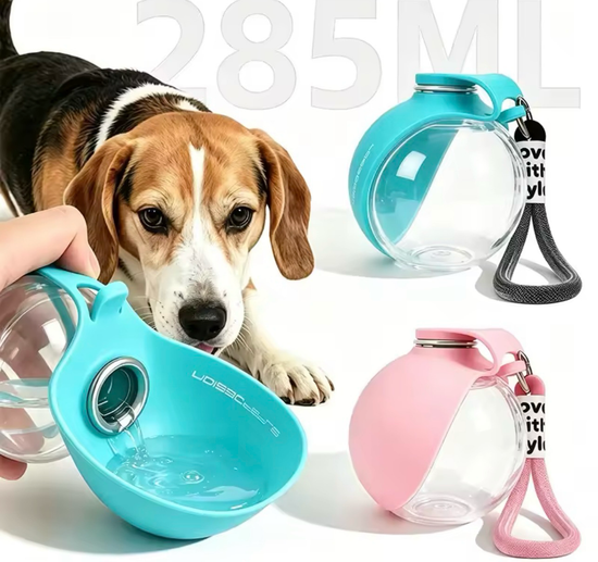 Gourde Portable Chien VIP