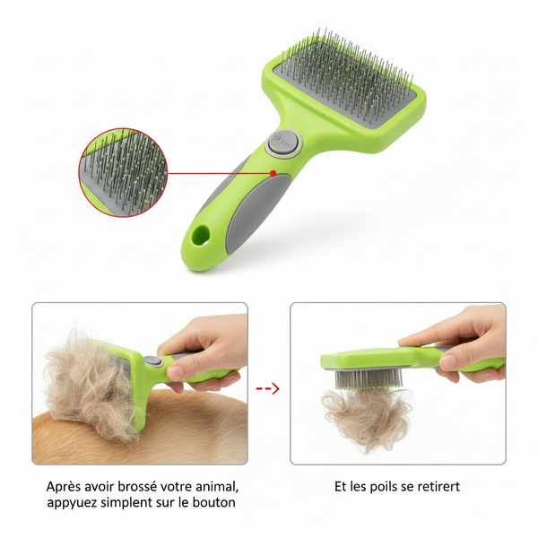 Mode d'emploi brosse autonettoyante avec textes corrigés en français